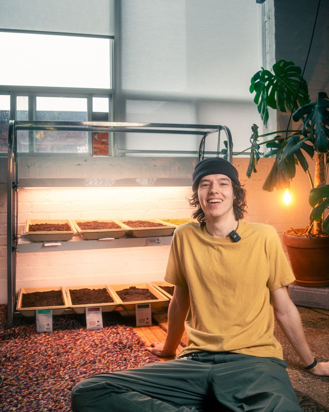 The core principles for building healthy soil